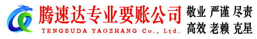 谯城腾速达追账公司